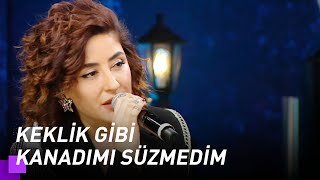 Melek Mosso - Keklik Gibi | Kuzeyin Oğlu Volkan Konak 6. Bölüm