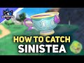 How To Get Sinistea and Get Sinistea Chips Pokemon Scarlet and Violet