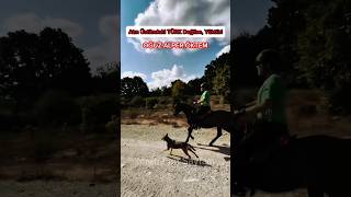 Atin Üstündeki̇ Türk Deği̇lse, Yüktür
