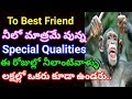 April Fool Whatsapp Status | Special April fool status videos | Make fools others on April 1 20018