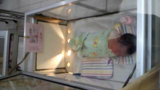 Revita Dinda Lover