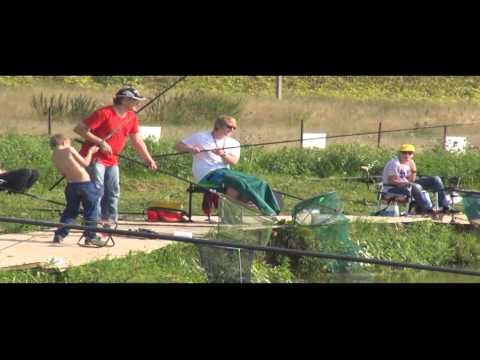 ловля карпа в жару видео ловля карпа во жару видео