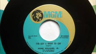 Watch Hank Williams Jr Ive Got A Right To Cry video