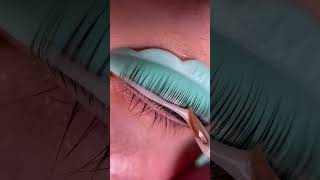 The Solutions Should Be Applied 1-2Mm Away From The Lash Root.have You Done It Right?