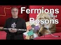 Fermions and Bosons