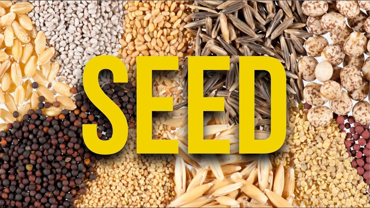 How To Sensi Seeds In A Slow Economy How To Sensi Seeds In A Slow Economy