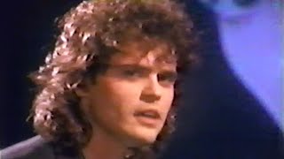 Watch Donny Osmond In It For Love video