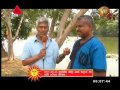 Pethikada 12/04/2017