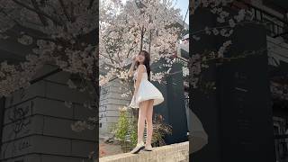 내 친구들을 소개할게