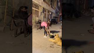 Shair Ko Chara Dal Dyaqurbani2025
