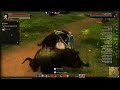 DRAGON'S PROPHET [HD+] #019 - Let's Talk über MMOs ★ Let's Play Together Dragon's Prophet
