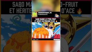 Sabo Mange Le Pyro-Fruit Et Herite Du Pouvoir Dace