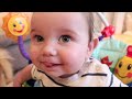 Archie's 6 Month Update! | Dollybowbow ad