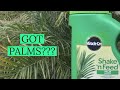 EASY Palm & Citrus Fertilizers
