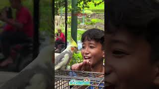 Liburan Sd 1 Gondosari Kelas 6 Angkatan 20242025