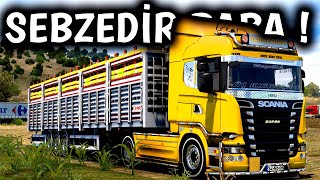 Sebze Jeti̇ Faça Tirla Kaza Yaptik Ets 2 Mod