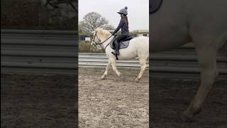 Little Edit Of Me And Casper Today