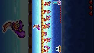 Shantaes Dancing Advance Risky Revolution