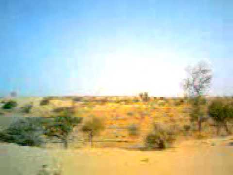 Dharti dhora ri