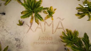 Watch Xama Avareza feat CMK video