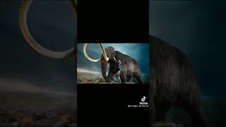 Mamut