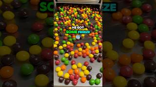 Why The Whole Neighborhood Loves Free Candy