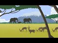 Protecting Endangered African Wildlife Animals And Species