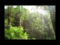 Himno Majestuoso: Digno de Honor Himno Majestuoso: Digno de Honor