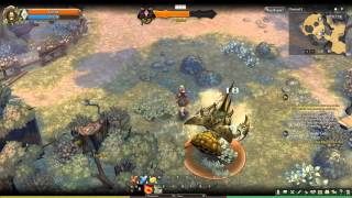 Tree Of Savior Cbt Wizard Vs Chafer