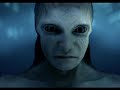 videos de sirenas reales