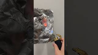 Wait Until The End
