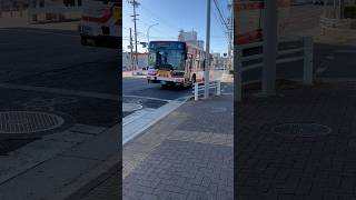 Japan Bus