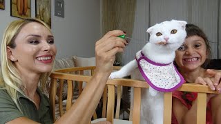 Kedimiz Pamuk Dorine Gün Boyu Bebek Gibi Baktık Komik Video