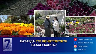 Базарда Гүл Көчөттөрүнүн Баасы Канча?