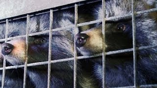 Protest gegen Pelze: Soko Tierschutz im Einsatz