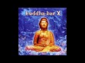 Buddha Bar X "Real Love"