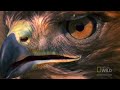 World S Deadliest Rattlesnake Vs Hawk images World S Deadliest Rattlesnake Vs Hawk