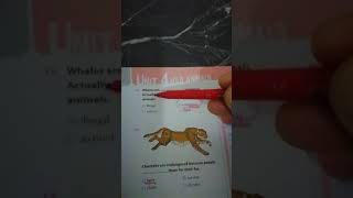 7.Sınıf İngilizce 4.Ünite Wild Animals