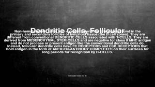 Medical Vocabulary What Does Dendritic Cells, Follicular Mean