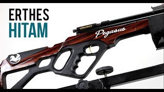 Senapan Angin Sharp Pegasus Erthes Hitam