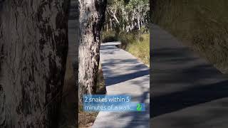 A Typical Walk In Straya