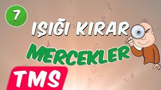 Mercekler Şarkısı 🎶