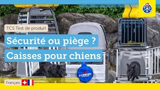Danger De Mort Pour Les Chiens ? Test De 9 Caisses Avec Crash-Test Tcs Test 2025
