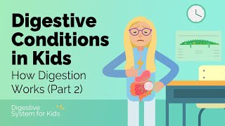Digestive Conditions In Kids How Digestion Works Part 2 Digestive System For Kids