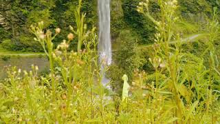 Waterfall Of Bhorle