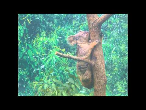 平川動物園