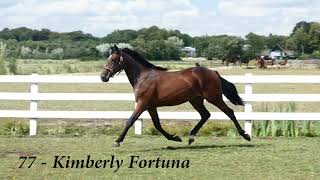 77 Kimberly Fortuna
