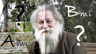 A Mı Diyeyim? B Mi Diyeyim? Ali Nesin