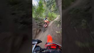 Chasing Crf 450 Through The Woods