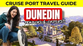 Dunedin Cruise Port Guide Penguins, Castles & Coastline Views